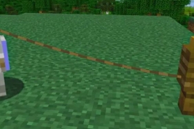 16873766521244049577