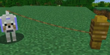 16873766521244049577