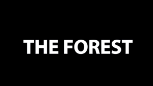 164 The Forest Official Trailer 00 01 22