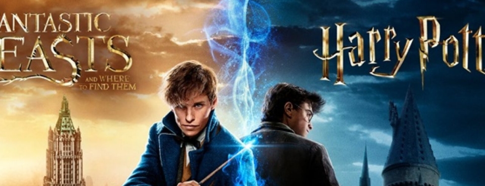 Harry Potter Severlere 1 İyi 1 Kötü Haber 20 16951494241340521029